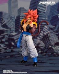 Dragon Ball Z Gogeta Super Saiyan 4 SSJ4 SAVAGO DUO Action Figure – US STOCK