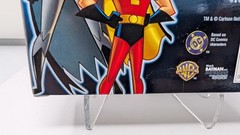 The New Batman Adventures Batman and Robin Walmart 2 Pack (See Photos)