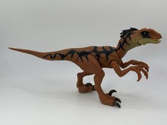 Jurassic World 3.75 Rebirth Orange VELOCIRAPTOR Dinosaur action figure LOOSE