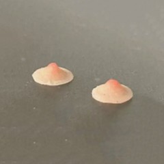 USA 1/12 Silicone Chest Patches Bust Patches for 6in Female Action Figure Model