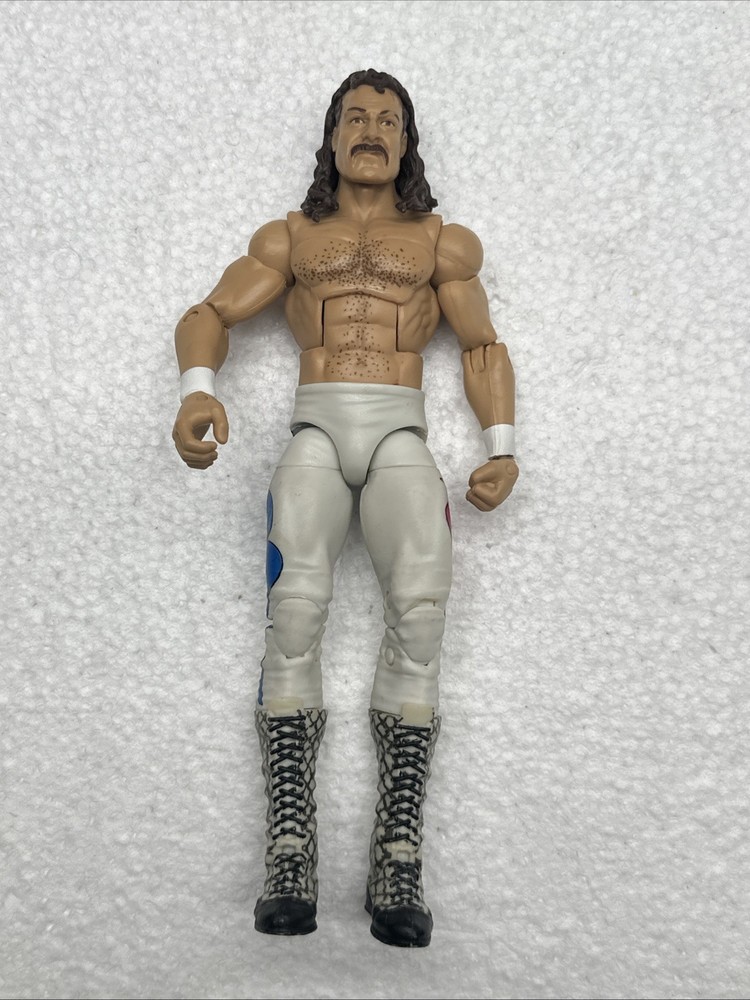 WWE Mattel Elite Hall of Fame Jake the Snake Roberts Figure Wrestling Legends 6″
