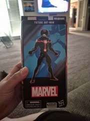 Marvel Legends Future Ant-man BAF