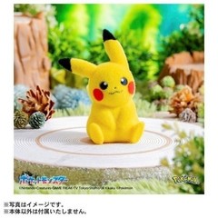 Set of 2 Pokemon 30th Anniversary Welcome Back! Pikachu Plush 1/1 w/ mini