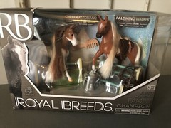 New Lanyard Royal Breeds, Family Champion, Chestnut Tobiano and Palomino Walker