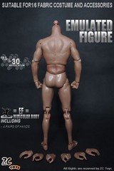 ZC Toys 1/6 Scale 12″ Nude Male Muscular Man Figure Body Model Fit HT Headsculpt