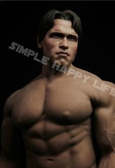 1/6 Arnold Schwarzenegger head Young 3.0 for Terminator T800 Phicen M34 hot toys