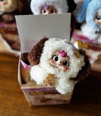 Samuel Puppy Flop Blind Box Pudding Confirmed Box, Card Included (no Bag)