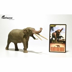 Konobelodon Prehistoric Elephant Ambelodon Non Dinosaur Model EoFauna Mammoth