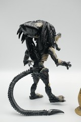 Herocross HMF #032 PREDALIEN ALIEN VS PREDATOR – 6″ Action Figure Displayed