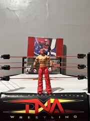 WWE Elite Mattel DC FLASH REY MYSTERIO Ringside Wrestlemania XX 20 – NO SHIRT