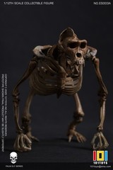 101TOYS ES003A 1/12 Original color CHIMPANZEE SKELETON FRAME BOBY Figure Toys