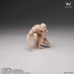 Whale Works Ash 1/12 Scale WW03-A White Super Articulated Body Figure Model