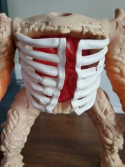 Vintage Inhumanoids D’Compose Hasbro 1986 MONSTER TOY No Head
