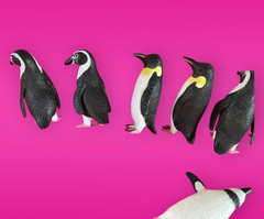 SeaWorld Penguin Figurine Set of 12 w/ Carry Case – 1 Full Set of 6 Pairs EUC