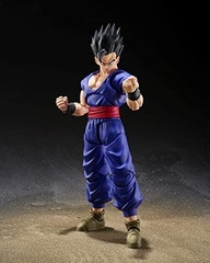 S.H.Figuarts Dragon Ball Super Gohan Reissue 140mm PVC ABS Figure