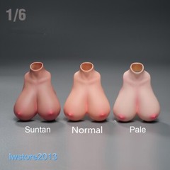 1:6 Pale Skin Normal Breast Bust Cover Model F 12” Female TBL PH Figure Body