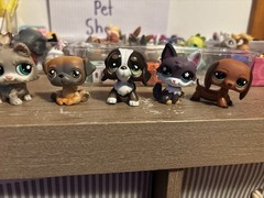 LPS Littlest Pet Shop LOT!! Ask Me Questions Regarding Littlest Pet Shop!! Read