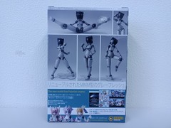 NEW DAIBADI Polynian MMM Shamrock Gray Fresh Ver. Update 130mm Action Figure