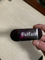 Flatface G16 Regular Show 34mm Real Wear Fingerboard Deck
