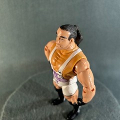 ECW Rob Van Dam Wrestling Action Figure 1999 The Original San Francisco Toymaker