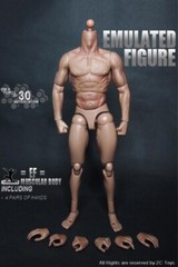 1/6 Scale ZC toy Male Man Boy Body Figure Military Chest Muscular 12″ Soldiers