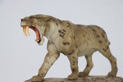 MEMORY MUSEUM 1/15 Prehistoric Cat Smilodon Populator GK Animal Model Toys Gift