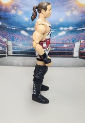 WWE Mattel Elite Collection Ringside Exclusive Defining Moments Rob Van Dam RVD