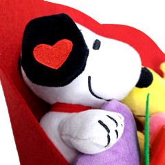 SNOOPY & WOODSTOCK Peanuts 13″ Plush Valentine’s Day Bouquet 2026 New