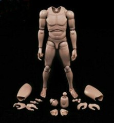 MX02-A 12″ Europe Skin Male Action Figure Body For 1/6 Head Sculpt Model Toy USA