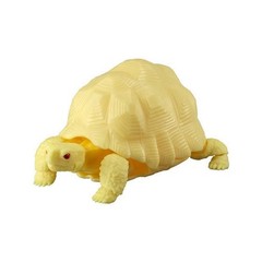 The Diversity of Life on Earth Turtle 01, 02 & 05 Figure Bandai Capsule Toy