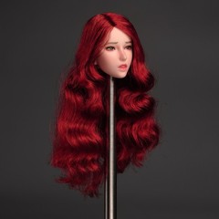 USA 1:6 Red Hair Girl Head Sculpture Carved Fit Woman Silicone Body Toy SDH027A