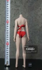 In-stock 1/6 TBLeague Phicen Short Asian Petite S24A S25B Female Body