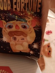 JoToys. Q. Kid Good Fortune Series PVC Plush Opened Blind Box