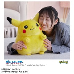 Set of 2 Pokemon 30th Anniversary Welcome Back! Pikachu Plush 1/1 w/ mini