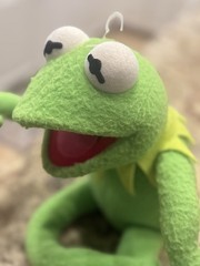 Applause Plush Kermit the Frog Poseable Jim Henson Muppets 19” Wire Arms & Legs