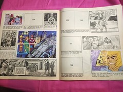 Vtg HE-Man sticker album Panini + Books + She-ra MOTU Lot of 7