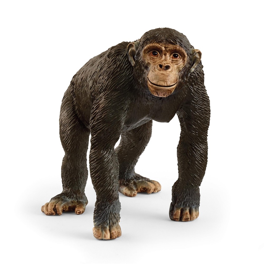 schleich 14883 Chimpanzee, from 3 years WILD LIFE – Figurine, 5 x 9 x 7 cm