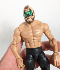 WWE Elite Collection Legends Series 1 Road Warriors Animal 2010 Mattel Posable