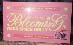 Authentic MEGA SPACE MOLLY 100% Blooming – Vanda Miss Joaquim SINGAPORE – Sealed