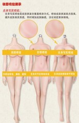 LDDOLL1/6 Silicone Flexible Seamless Figure Female Body Real makeup normal 29L