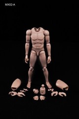 1/6 Male Doll Body Standard Muscle Flexible Model For 12″ Action Figure w/Neck