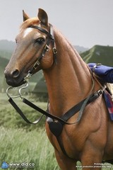 Brown-Red War Horse DiD 1/6 Scale E60082 for Captain nathan