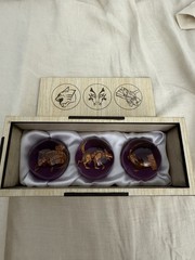 Power Rangers Wild Force Gaoranger Gao Crystal Figures Zenaku Predazord 3x W/box