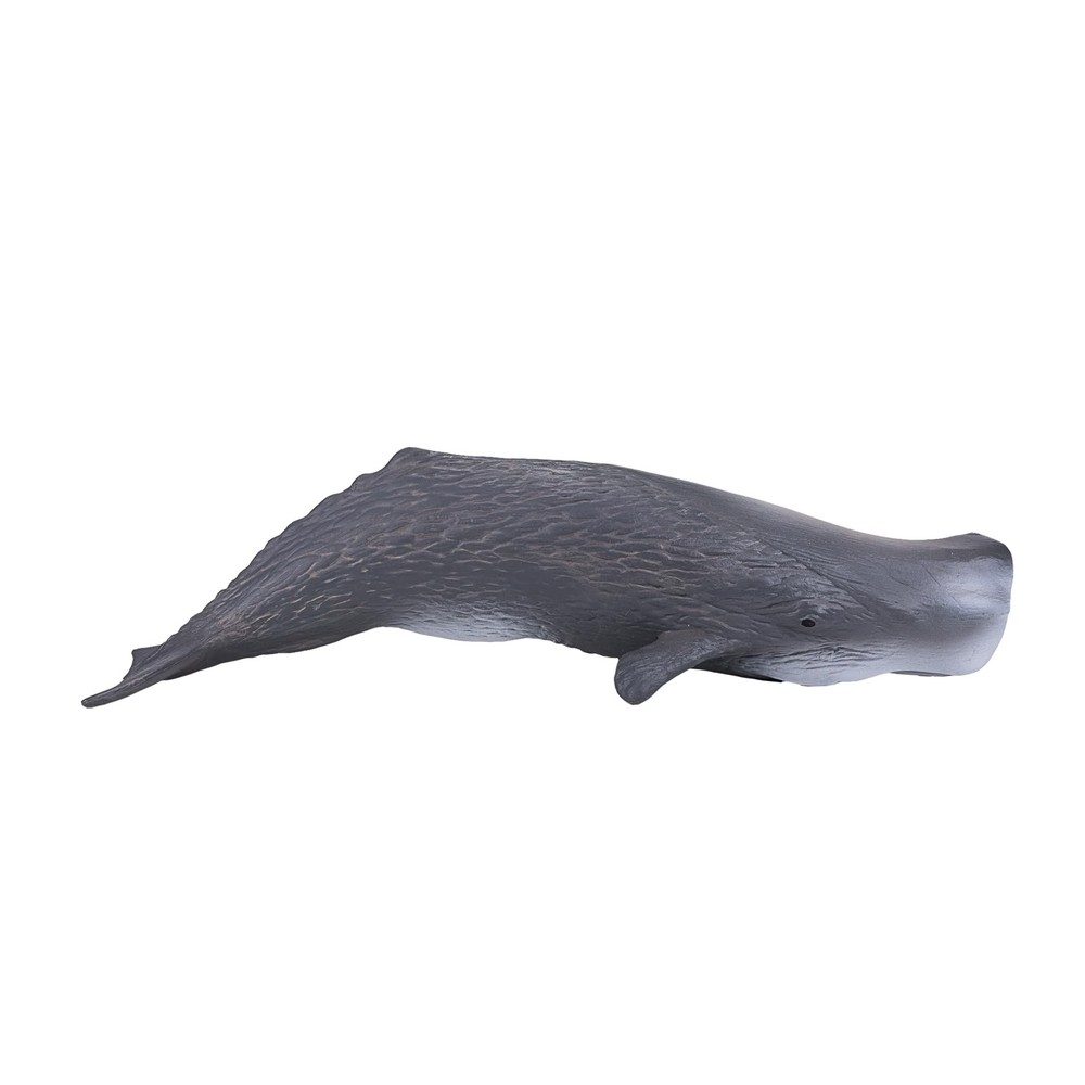 MOJO Sperm Whale Realistic International Wildlife Hand Painted Toy Figurine