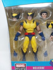 MARVEL LEGENDS WOLVERINE, JEAN GREY & CYCLOPS Marvel 80 Years Hasbro 2019 Mint!