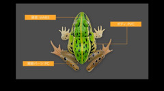 Black-spotted Pond Frog Figure Set of 4 Bandai Creature Encyclopedia Capsule Toy