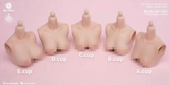 Worldbox E cup 1:6 Pale Breast Kits Cover Model Fit 12” Female PH TBL Body Toy