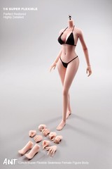 1:6 Pale Skin Medium Breast Female Makeup Seamless Figure Body With detail model
