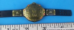 Sting WWE Mattel Legend WCW Big Gold Championship Belt Bat WCW AEW Crow