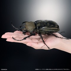 The Diversity of Life on Earth Advance Beetle 04 w/ stands Online version Bandai